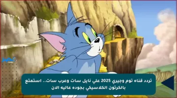 تردد قناة توم وجيري 2025 على نايل سات وعرب سات.. استمتع بالكرتون الكلاسيكي بجودة عالية الآن